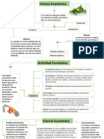 Mapa Conceptual