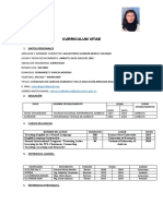 Curriculum Vitae 2