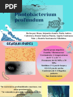 Photobacterium, Profundum