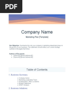 Company Name: Marketing Plan (Template)