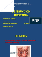 Obstruccionintestinal4toao 130627014732 Phpapp02