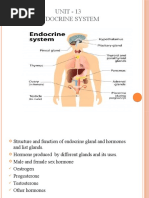 Unit 13 Endocrine Gland