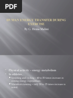 Energy Transfer During Exercise