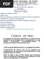 Tecnologia de Productos Congelados en La Indust Pesquera Cap 2 A Ciclo 2020 - II para La Facultad de Pesqueria