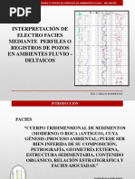 Electrofacies en Ambientes Fluvio Deltaicos