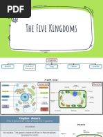 The Five Kingdoms Biology