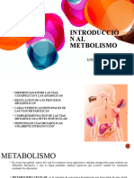 Metabolismo de Carbohidratos