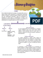 Ecosistema, Bioma y Biosfera