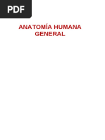 Anatomia 86