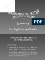 Peritaje Contable Judicial