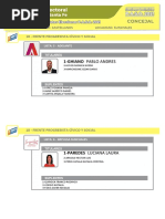 Precandidatos Concejales Castellanos