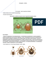 Carrapatos e Arcaros (Teórica e Prática) - Parasitologia Veterinária