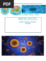 Informe de La Celula