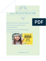 Martirvidal Celso M16S2 Elciclocelular