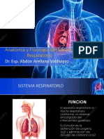 Sistema Respiratorio Anatomía y Fisiología