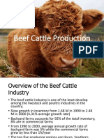 7 Animal Production Cattle Production