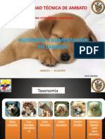 Nutricion Bases de Nutricion Canina