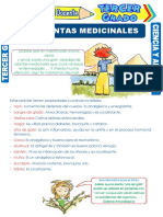 Las Plantas Medicinales para Tercer Grado de Primaria