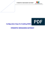 SYMANTEC MESSAGING GATEWAY Issue Report