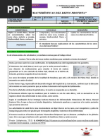 Ficha Informativa - Características Del Reino Protista