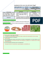 Ficha Informativa - Importancia Del Reino Fungí 16