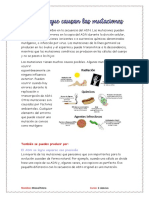 Factores Que Causan Las Mutaciones