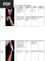 M. Miembro Superior