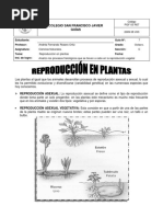 Reproduccion en Plantas Guia 7