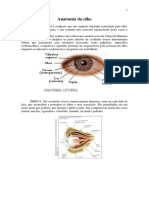 Anatomia Do Olho