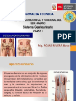 SISTEMA GENITOURINARIO I (Autoguardado)