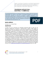 Tema 13. Resumen de Normativa Europea de Ley de Propiedad Intelectual y Derechos de Autor