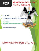 Tema Normatividad Contable en El Peru