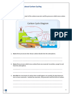 IB Style Questions About Carbon Cycling