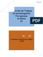 Algoritmo de Trabajo en Dermatopatías Pruriginosas en Gatos II