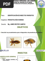 Práctica 12. Identificación de Insectos Parásitos