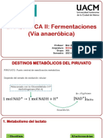 Fermentaciones