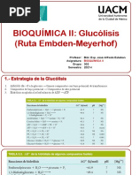 Glucólisis (Ruta Embden-Meyerhof)