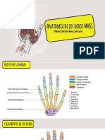 Maria Camila Navia - Anatomía de Los Dedos (2-5)