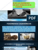 Fenomenos Cadavericos