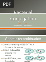 Bacterial Conjugation