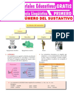 Género y Número Del Sustantivo para Primer Grado de Secundaria