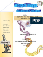 Proceso de Erupción Dental