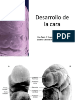 2 Segundo Desarrollo de La Cara