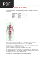 Caracteristicas Fisicas Del Ser Humano