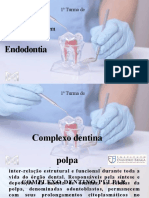 Complexo Dentina Polpa