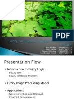 Fuzzy Techniques in Image Processing: Group 4