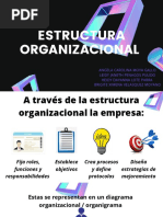 Estructura Organizacional