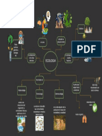 Mapa Mental Ecologia