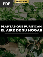 5.plantas Que Purifican El Aire de Su Hogar (Es)