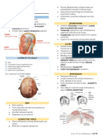 HSB - Head: Anterior: Supraorbital Margin Posterior: Superior Nuchal Line